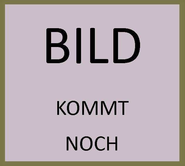 Solax für bis zu 2x4 T58 Slave Batterien (34,6 oder 46 kWh)